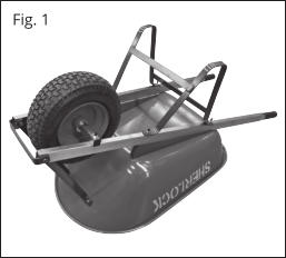 Fig. 1